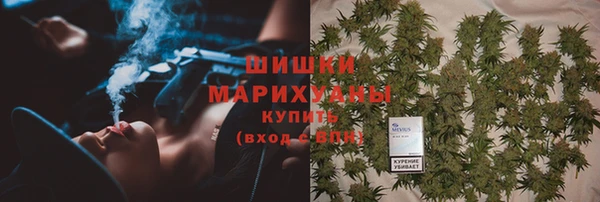 PSILOCYBIN Волоколамск