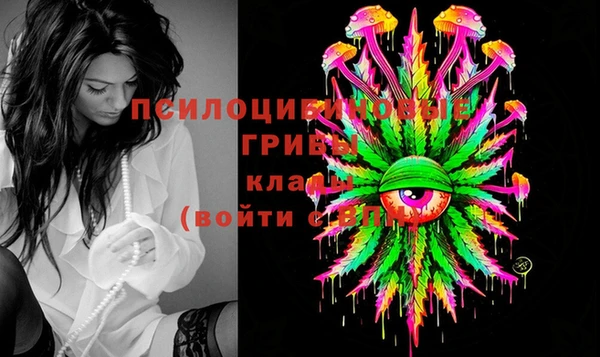 каннабис Болотное