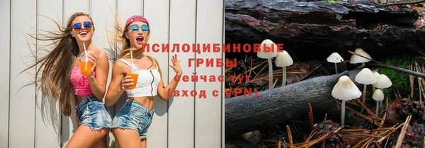 PSILOCYBIN Волоколамск