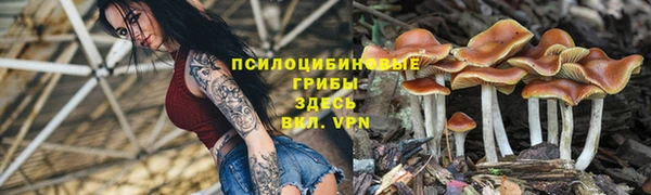 кокаин колумбия Болхов